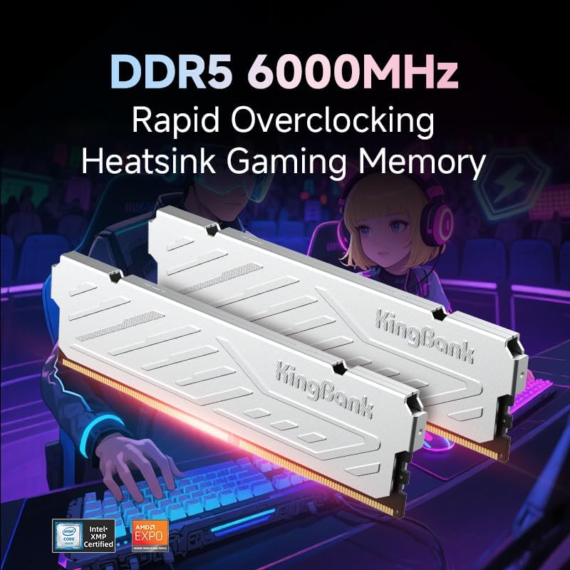 KingBank KJXS DDR5 RAM 8GB/16G - Ddr5 16Gb 6000Mhz review and price