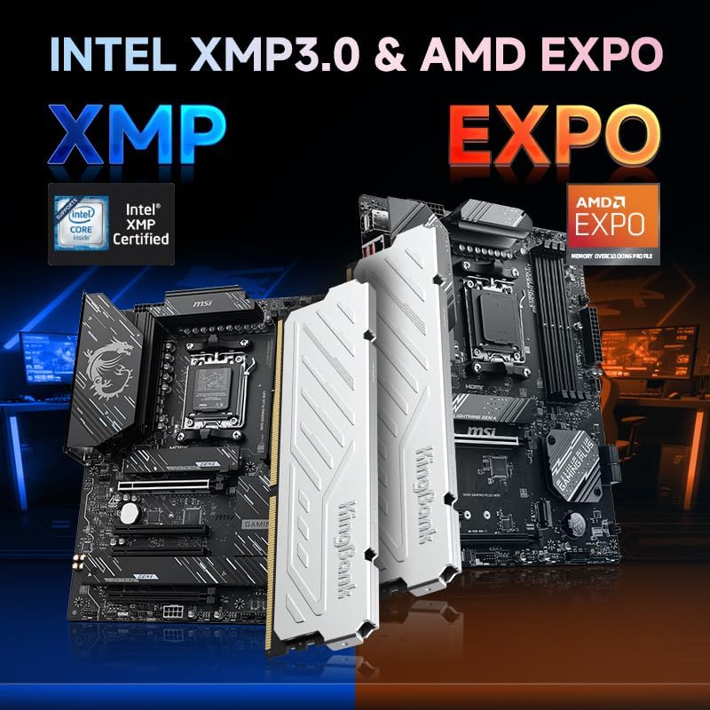 KingBank KJXS DDR5 RAM 8GB/16G - Ddr5 16Gb 6000Mhz review and price