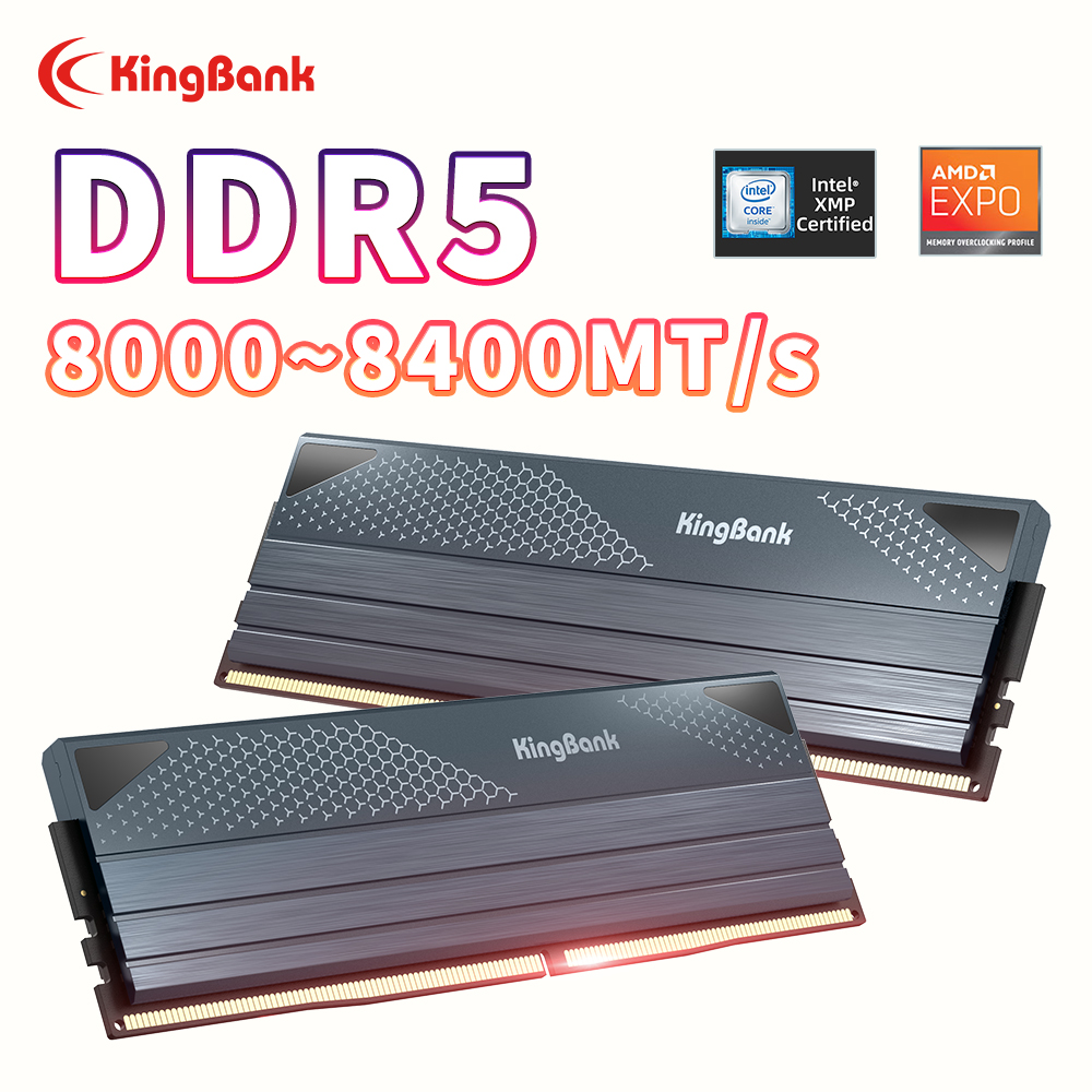 KingBank DDR5 KFXB Memory 48GB - Ddr5 4800Mhz review and price