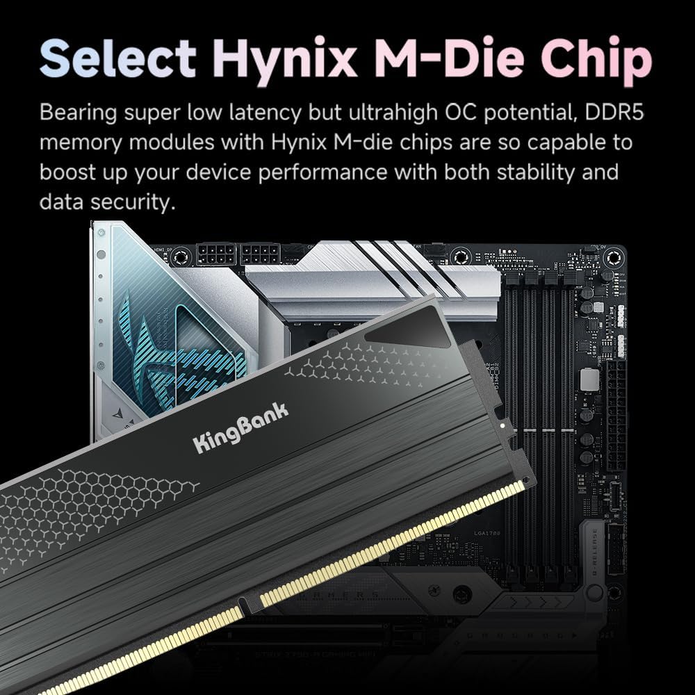 KingBank DDR5 KFXB Memory 48GB - Ddr5 4800Mhz review and price