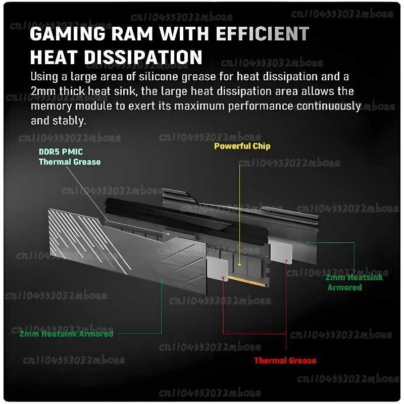 DDR5 RAM 16GB/32GB 6000MHz 640 - Ddr5 32Gb review and price