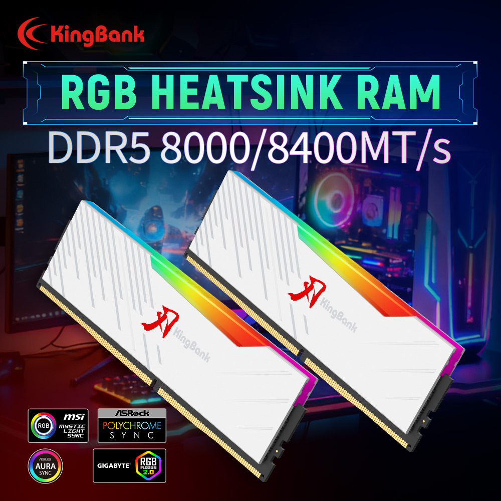 KINGBANK KRRW DDR5 RAM 48GB (2 - Ddr5 4800Mhz review and price